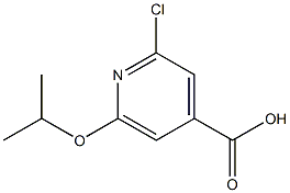 氯 異丙氧基異煙酸